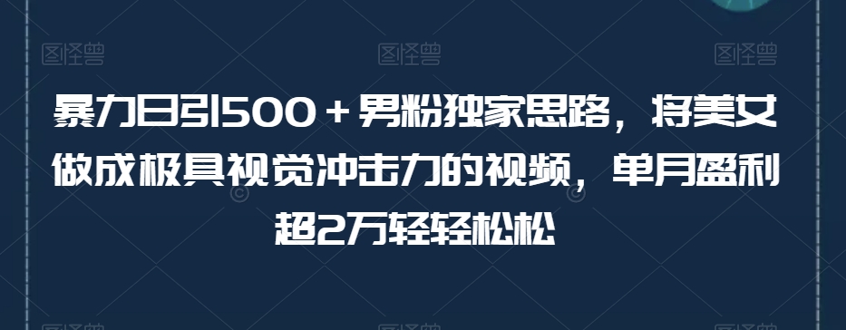 暴力日引500＋男粉独家思路，将美女做成极具视觉冲击力的视频，单月盈利超2万轻轻松松-零点项目大全