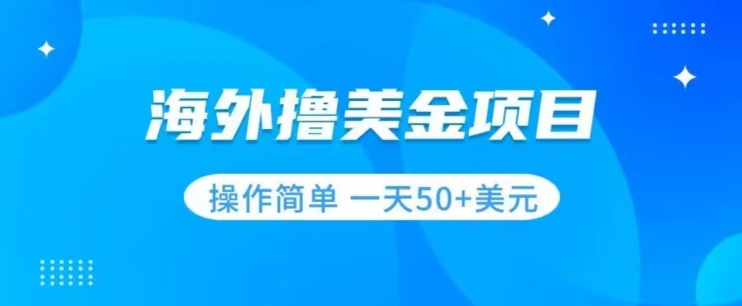 撸美金项目无门槛操作简单小白一天50+美刀-零点项目大全