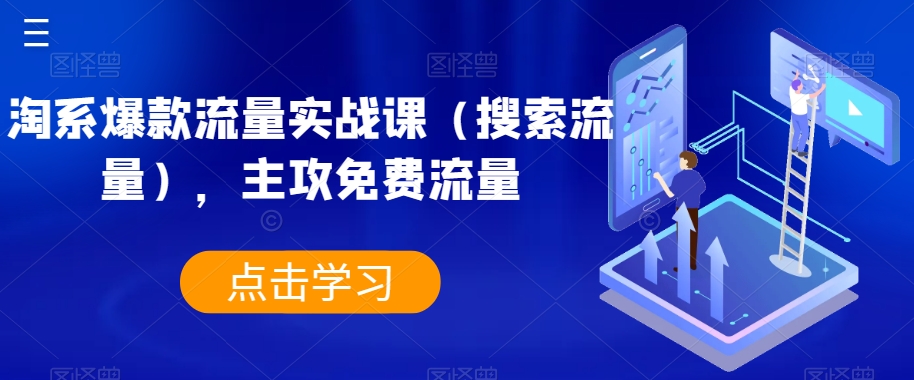 淘系爆款流量实战课（搜索流量），主攻免费流量-零点项目大全