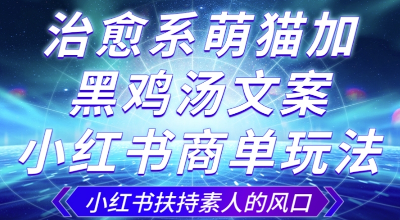 治愈系萌猫加+黑鸡汤文案，小红书商单玩法，3~10天涨到1000粉，一单200左右-零点项目大全