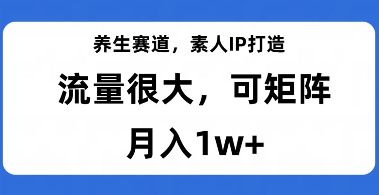 养生赛道，素人IP打造，流量很大，可矩阵，月入1w+【揭秘】-零点项目大全