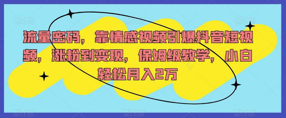 流量密码，靠情感视频引爆抖音短视频，涨粉到变现，保姆级教学，小白轻松月入2万【揭秘】-零点项目大全