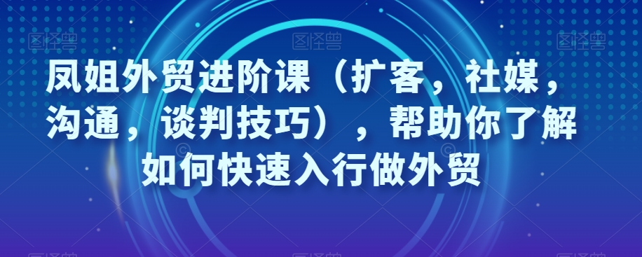 凤姐外贸进阶课（扩客，社媒，沟通，谈判技巧），帮助你了解如何快速入行做外贸-零点项目大全