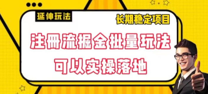 注册流掘金批量玩法，可以实操落地【揭秘】-零点项目大全