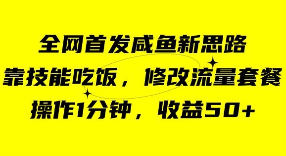 咸鱼冷门新玩法，靠“技能吃饭”，修改流量套餐，操作1分钟，收益50【揭秘】-零点项目大全