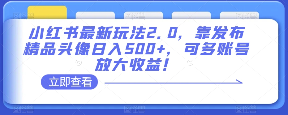 小红书最新玩法2.0，靠发布精品头像日入500+，可多账号放大收益！【揭秘】-零点项目大全