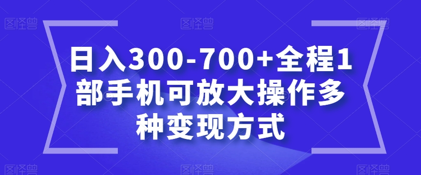 日入300-700+全程1部手机可放大操作多种变现方式【揭秘】-零点项目大全