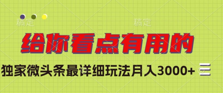 独家微头条最详细玩法，月入3000+【揭秘】-零点项目大全