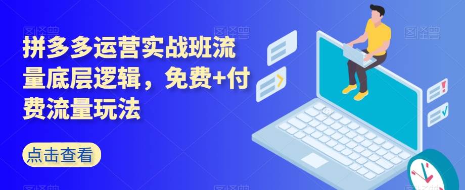 拼多多运营实战班流量底层逻辑，免费+付费流量玩法-零点项目大全