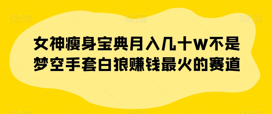 女神瘦身宝典月入几十W不是梦空手套白狼赚钱最火的赛道【揭秘】-零点项目大全