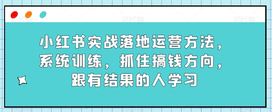 小红书实战落地运营方法，系统训练，抓住搞钱方向，跟有结果的人学习-零点项目大全