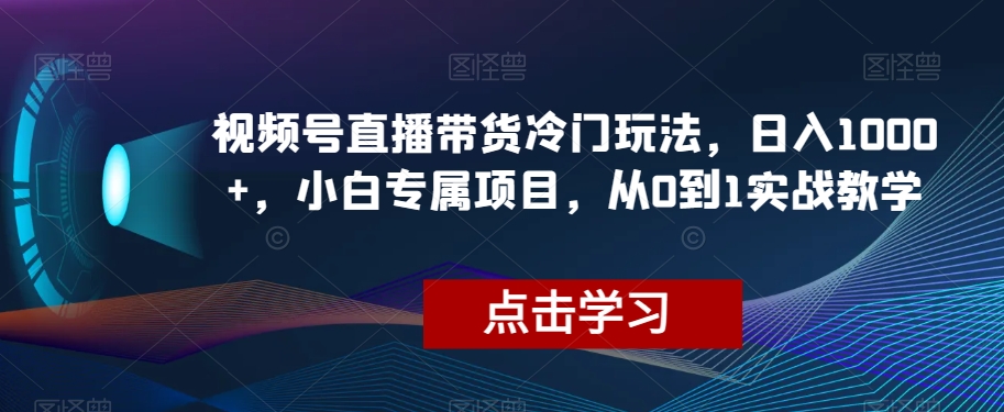 视频号直播带货冷门玩法，日入1000+，小白专属项目，从0到1实战教学【揭秘】-零点项目大全