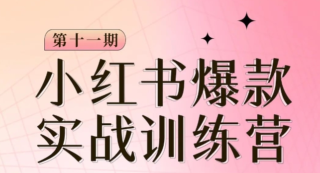 小红书博主爆款训练营第11期，手把手教你从0-1做小红书，从定位到起号到变现-零点项目大全