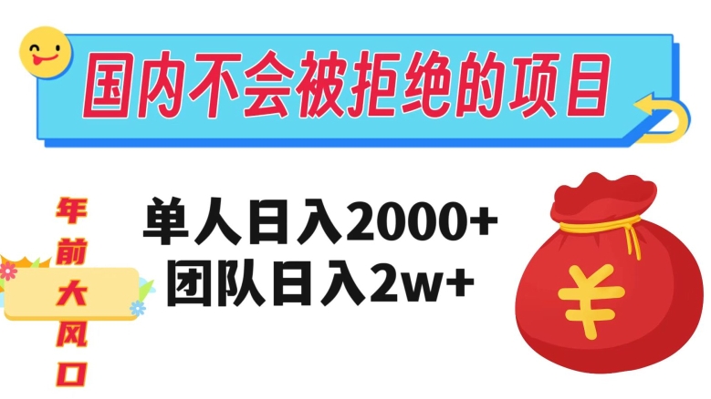 在国内不怕被拒绝的项目，单人日入2000，团队日入20000+【揭秘】-零点项目大全