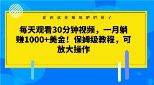 每天观看30分钟视频，一月躺赚1000+美金！保姆级教程，可放大操作【揭秘】-零点项目大全