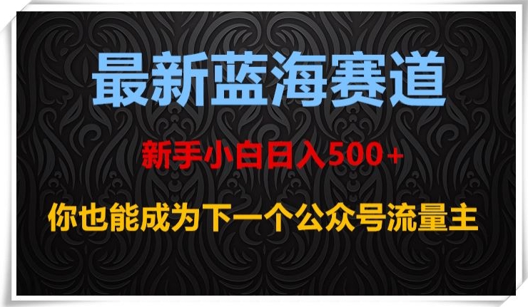 最新蓝海赛道，新手小白日入500+，你也能成为下一个公众号流量主【揭秘】-零点项目大全