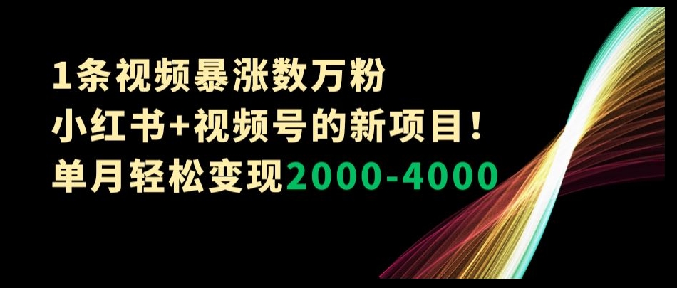 1条视频暴涨数万粉–小红书+视频号的新项目！单月轻松变现2000-4000【揭秘】-零点项目大全