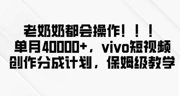 老奶奶都会操作，新平台无脑操作，单月40000+，vivo短视频创作分成计划【揭秘】-零点项目大全