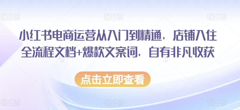 小红书电商运营从入门到精通，店铺入住全流程文档+爆款文案词，自有非凡收获-零点项目大全