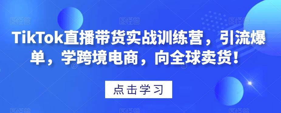 TikTok直播带货实战训练营，引流爆单，学跨境电商，向全球卖货！-零点项目大全