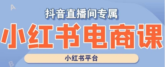 小红书电商高级运营课程，实操教学+案例分析-零点项目大全