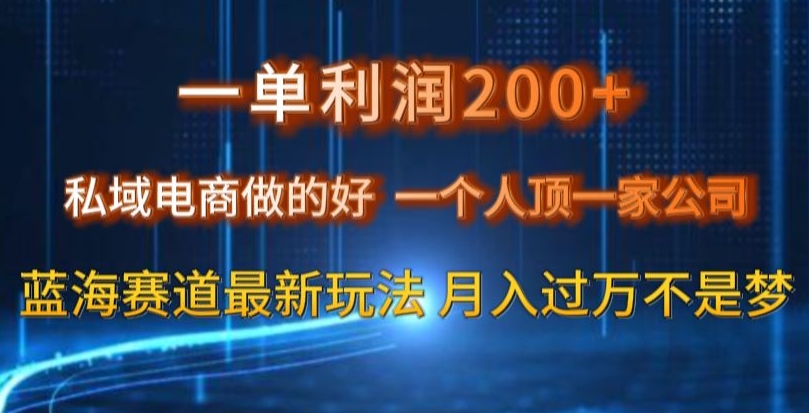 一单利润200私域电商做的好，一个人顶一家公司蓝海赛道最新玩法【揭秘】-零点项目大全