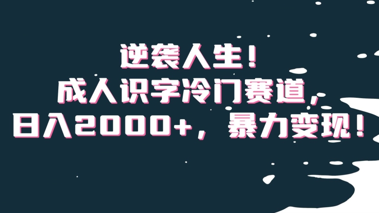 逆袭人生！成人识字冷门赛道，日入2000+，暴力变现！【揭秘】-零点项目大全