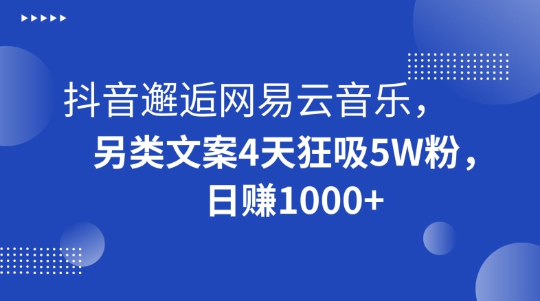 抖音邂逅网易云音乐，另类文案4天狂吸5W粉，日赚1000+【揭秘】-零点项目大全