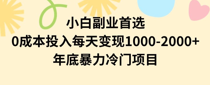 小白副业首选，0成本投入，每天变现1000-2000年底暴力冷门项目【揭秘】-零点项目大全