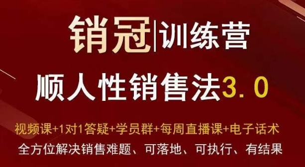 爆款！销冠训练营3.0之顺人性销售法，全方位解决销售难题、可落地、可执行、有结果-零点项目大全