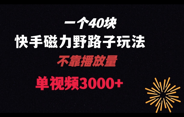 一个40块，快手联合美团磁力新玩法，无视机制野路子玩法，单视频收益4位数【揭秘】-零点项目大全