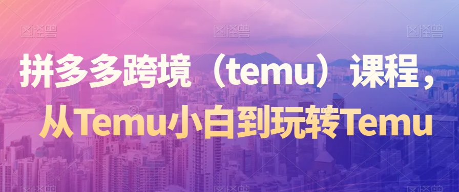 拼多多跨境（temu）课程，从Temu小白到玩转Temu-零点项目大全