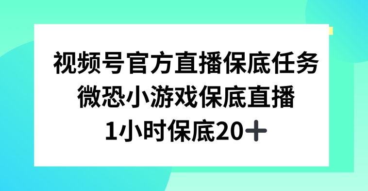 视频号直播任务，微恐小游戏，1小时20+【揭秘】-零点项目大全