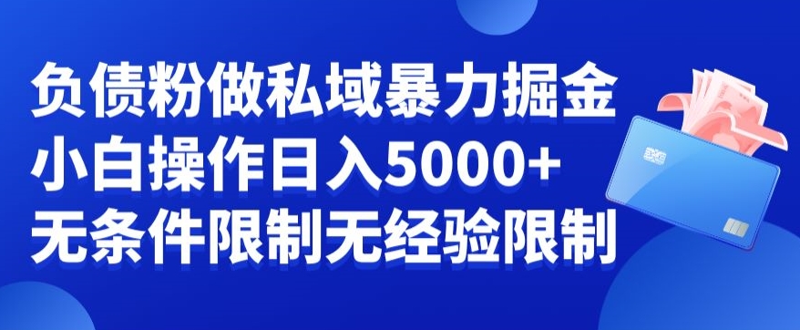 负债粉私域暴力掘金，小白操作入5000，无经验限制，无条件限制【揭秘】-零点项目大全