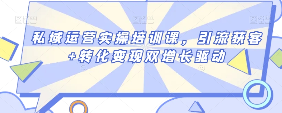 私域运营实操培训课，引流获客+转化变现双增长驱动-零点项目大全