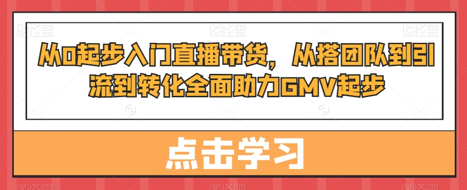 从0起步入门直播带货，​从搭团队到引流到转化全面助力GMV起步-零点项目大全