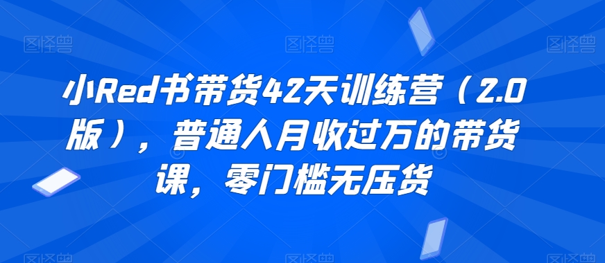 小Red书带货42天训练营（2.0版），普通人月收过万的带货课，零门槛无压货-零点项目大全