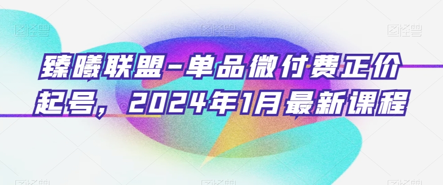 臻曦联盟-单品微付费正价起号，2024年1月最新课程-零点项目大全