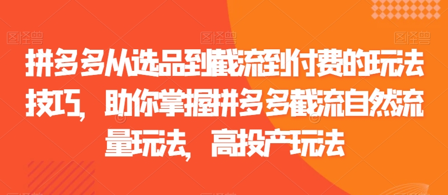 拼多多从选品到截流到付费的玩法技巧，助你掌握拼多多截流自然流量玩法，高投产玩法-零点项目大全