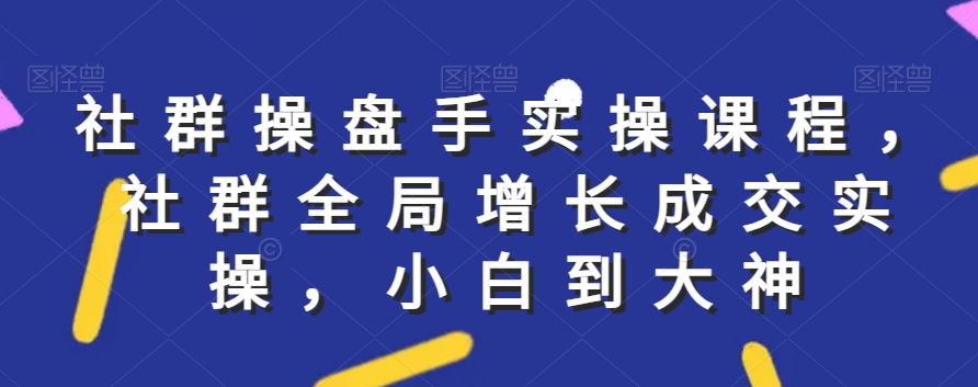 社群实操课程，社群全局增长成交实操，小白到大神-零点项目大全