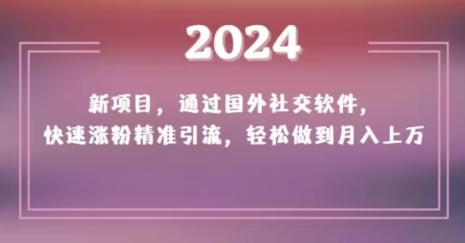 2024新项目，通过国外社交软件，快速涨粉精准引流，轻松做到月入上万【揭秘】-零点项目大全