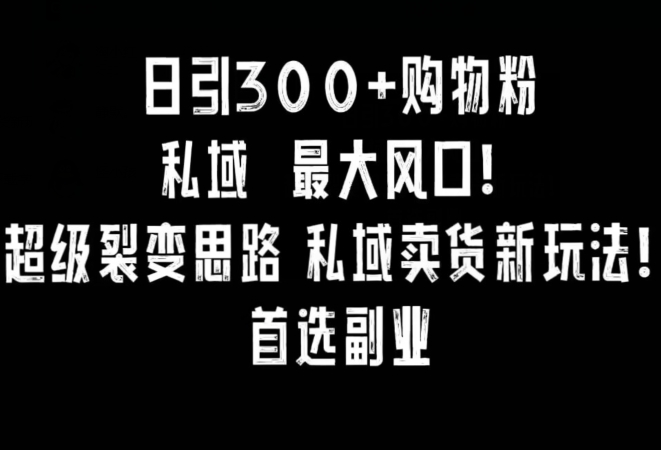 日引300+购物粉，超级裂变思路，私域卖货新玩法，小红书首选副业【揭秘】-零点项目大全