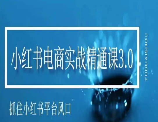 小红书电商实战精通课3.0，抓住小红书平台的风口，不错过有一个赚钱的机会-零点项目大全