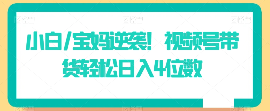 小白/宝妈逆袭！视频号带货轻松日入4位数【揭秘】-零点项目大全