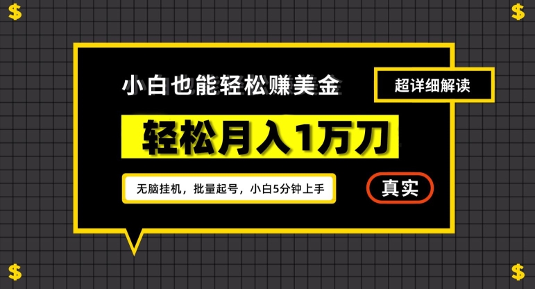 谷歌看广告撸美金2.0，无脑挂机，多号操作，月入1万刀【揭秘】-零点项目大全