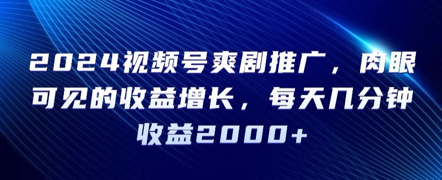 2024视频号爽剧推广，肉眼可见的收益增长，每天几分钟收益2000+【揭秘】-零点项目大全