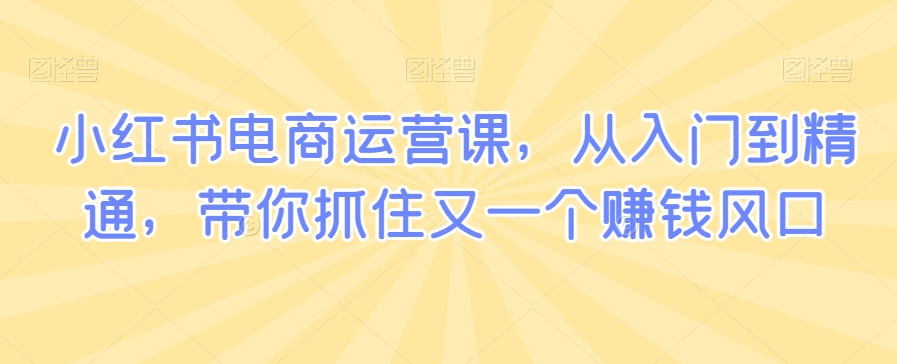 小红书电商运营课，从入门到精通，带你抓住又一个赚钱风口-零点项目大全