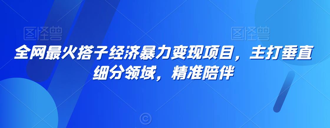 全网最火搭子经济暴力变现项目，主打垂直细分领域，精准陪伴【揭秘】-零点项目大全