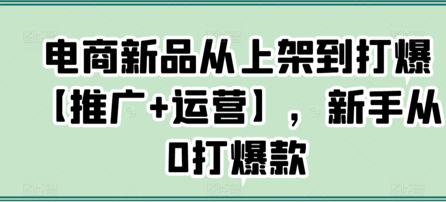 电商新品从上架到打爆【推广+运营】，新手从0打爆款-零点项目大全