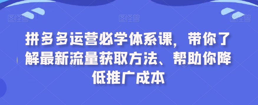 拼多多运营必学体系课，带你了解最新流量获取方法、帮助你降低推广成本-零点项目大全